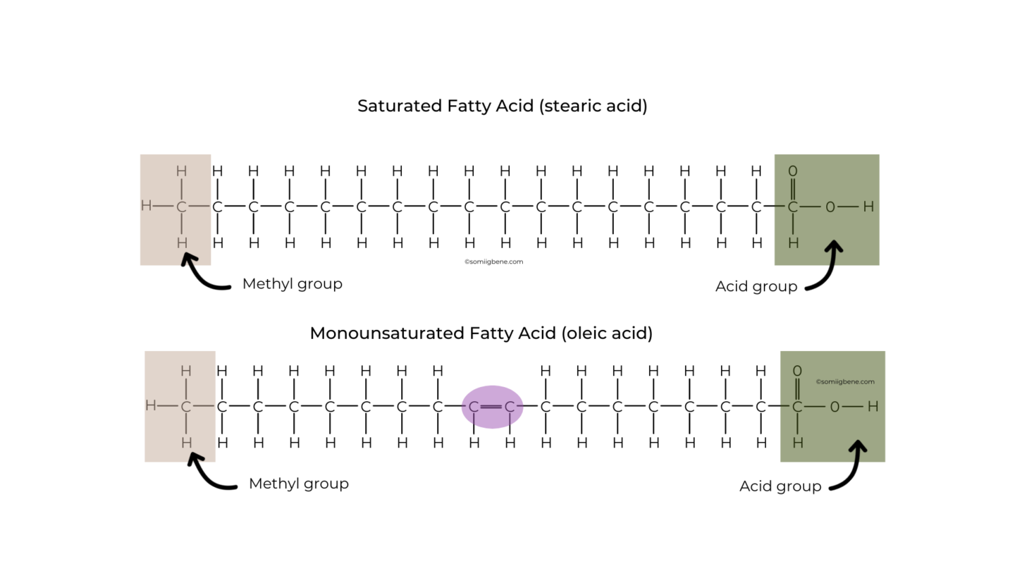 Saturated and unsaturated fat