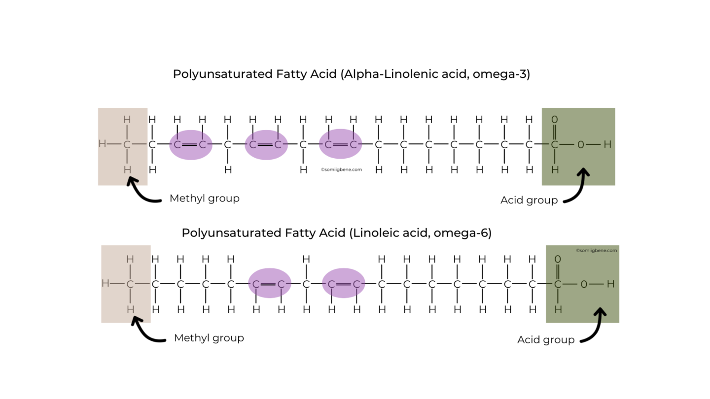 Polyunsaturated fat