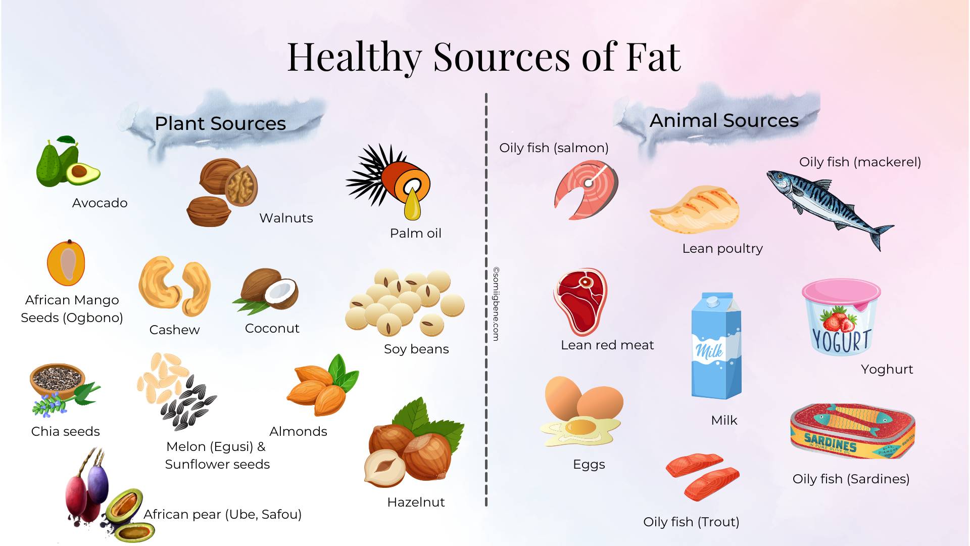 Dietary Fat: Functions, Requirements And Healthy Sources - The ...