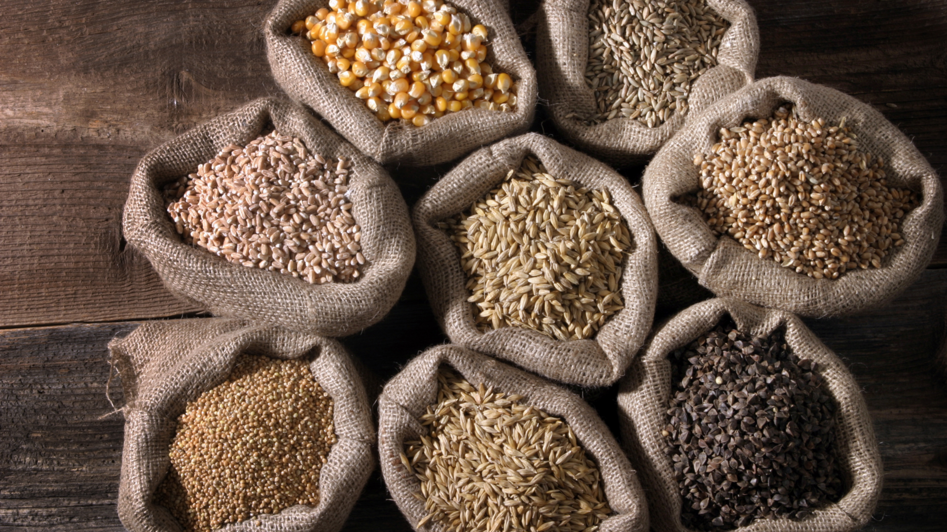 What you need to know about grains blog