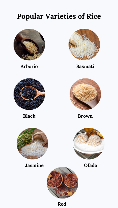 Rice and maintain balanced blood glucose
